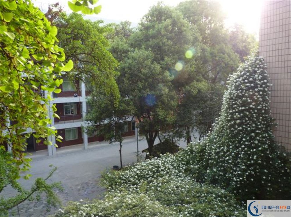 成都市石室聯(lián)中蜀華分校初升高的政策是什么？