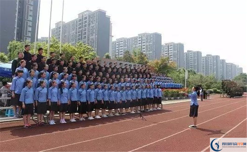 成都三十七中的地址在哪里？