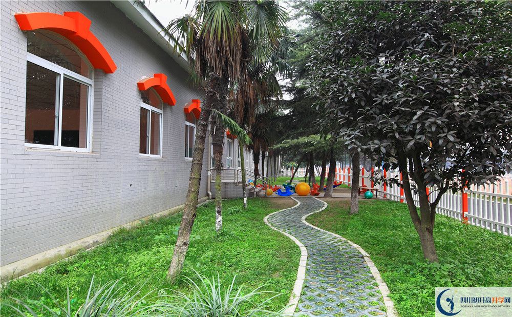 成都大學附屬中學初升高向外地招生嗎？