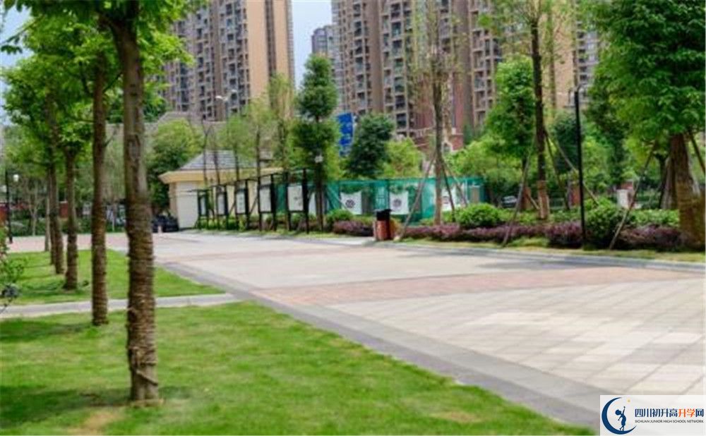 成都教科院附屬學(xué)校2020年清華北大錄取學(xué)生有多少？