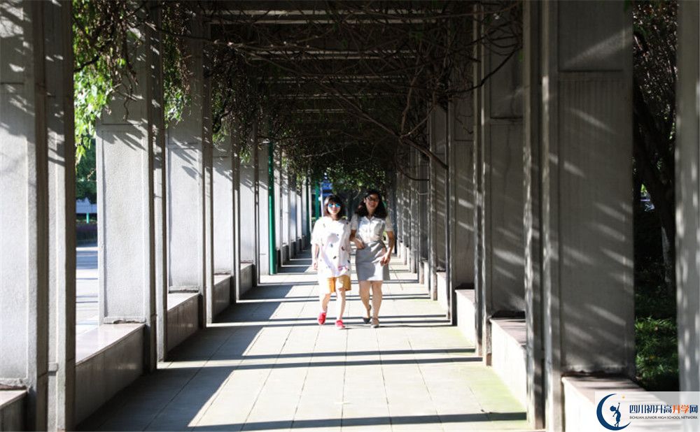 成都市龍泉中學(xué)2020年清華北大人數(shù)是多少？