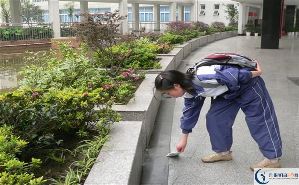 成都市龍泉中學(xué)初升高向外地招生嗎？