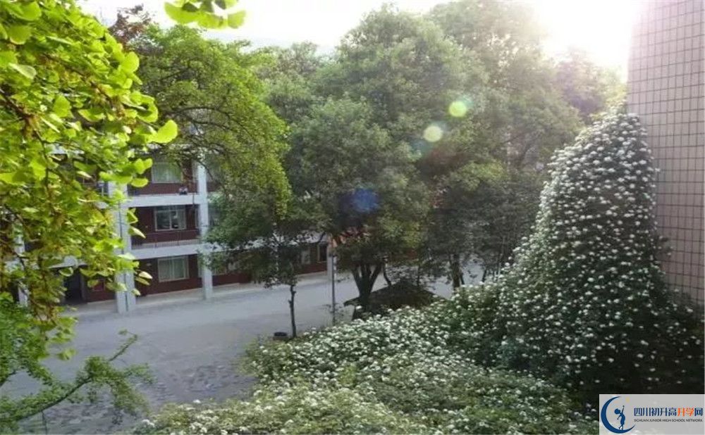 成都市石室聯(lián)中蜀華分校2020年保送清華北大的人數(shù)是多少？