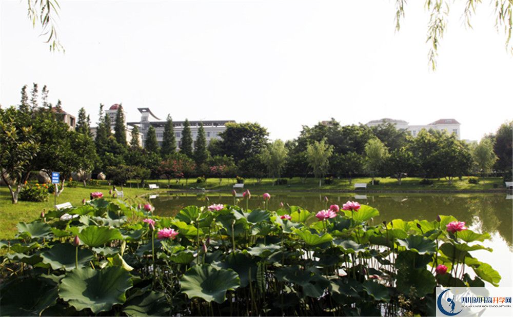 成都教科院附屬學校2020年保送清華北大的人數(shù)是多少？