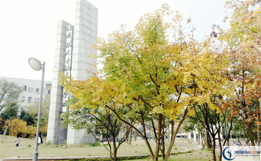 成都實(shí)驗(yàn)外國(guó)語(yǔ)學(xué)校（西區(qū)）2020年外地生學(xué)費(fèi)是多少？