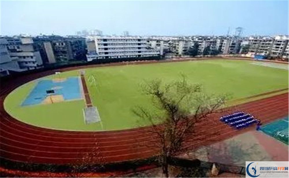 成都實外新都五龍山學校招生考試科目有哪些？