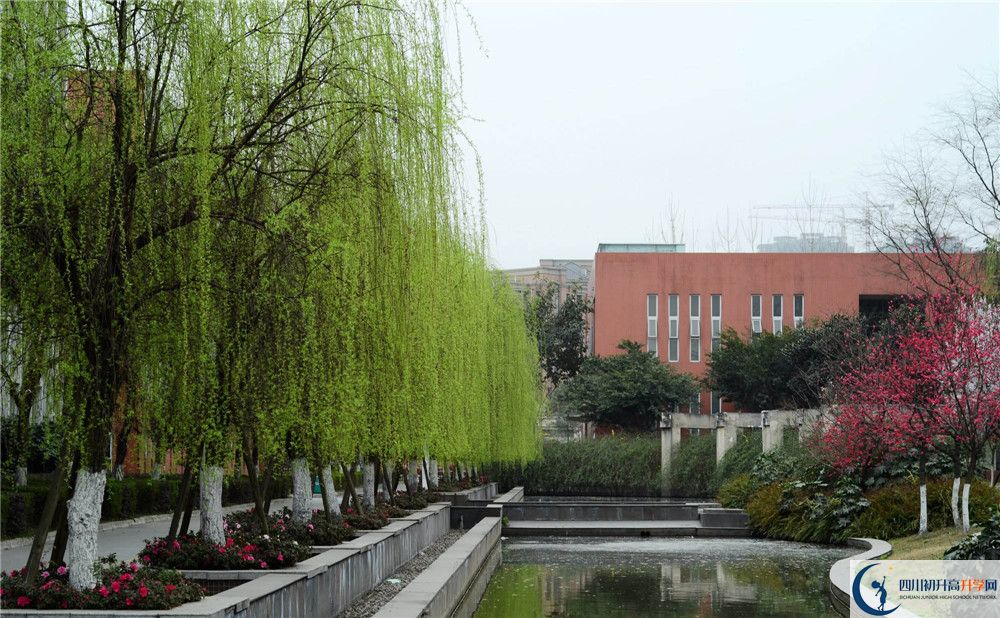香城中學(xué)自主招生條件是什么？