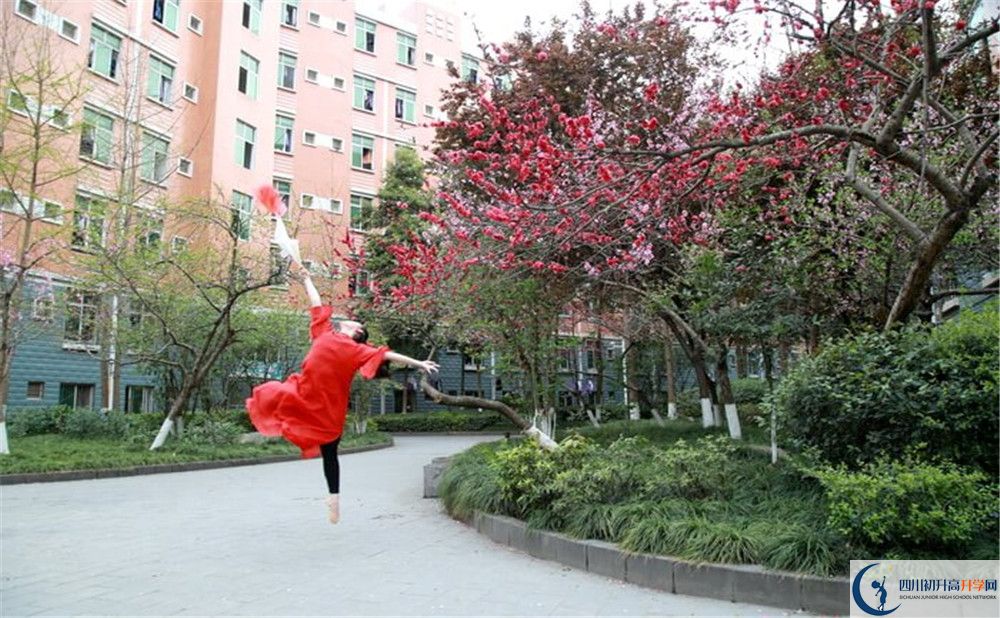 簡陽中學(xué)2020年保送清華北大的人數(shù)是多少？