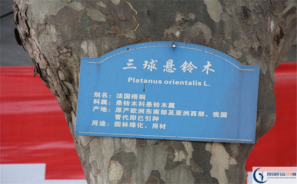 2020成都市第四十九中學(xué)高考重點(diǎn)大學(xué)升學(xué)率高嗎？