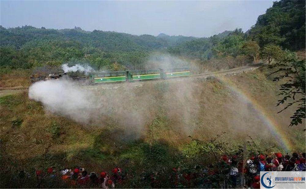 成都市泡桐樹中學(xué)國際班費用是多少？
