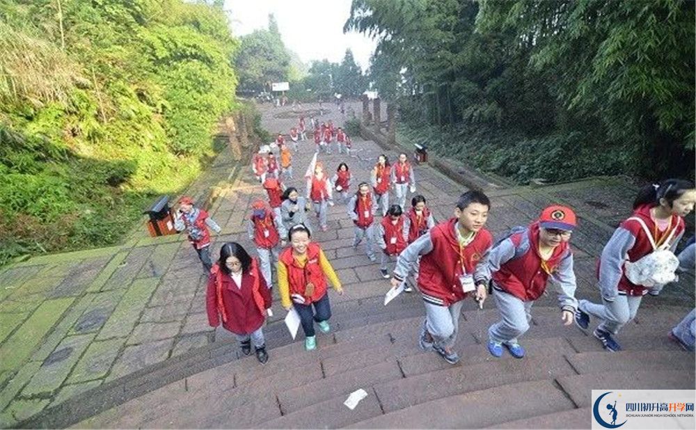 成都市泡桐樹中學(xué)和樹德中學(xué)誰好？