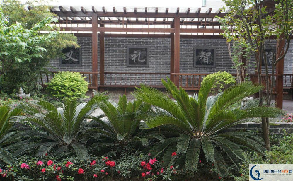 2020成都八中高考重點(diǎn)大學(xué)升學(xué)率是多少？