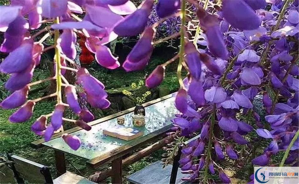 郫縣三中平行班與實(shí)驗(yàn)班差多少？