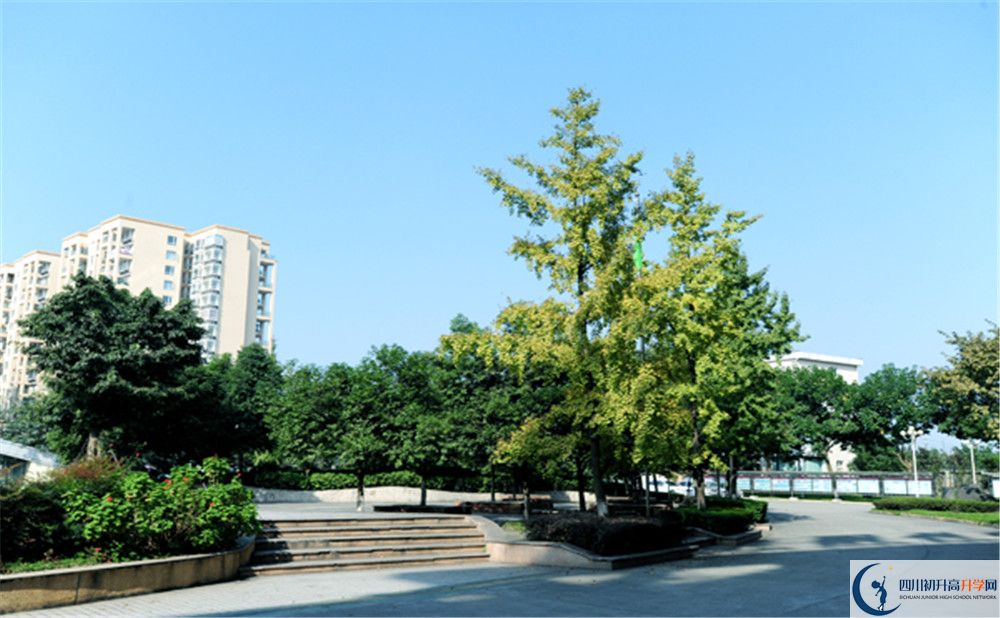 2020成都棠湖外國語學校期末試卷數(shù)學在哪里看？