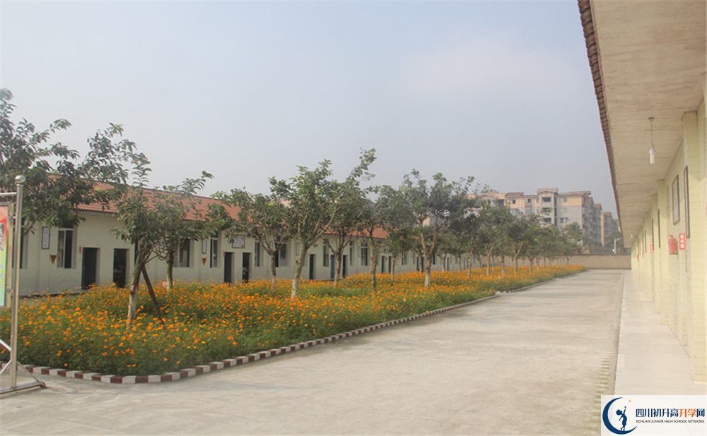 強(qiáng)項(xiàng)實(shí)驗(yàn)中學(xué)在全國(guó)高中排名多少？