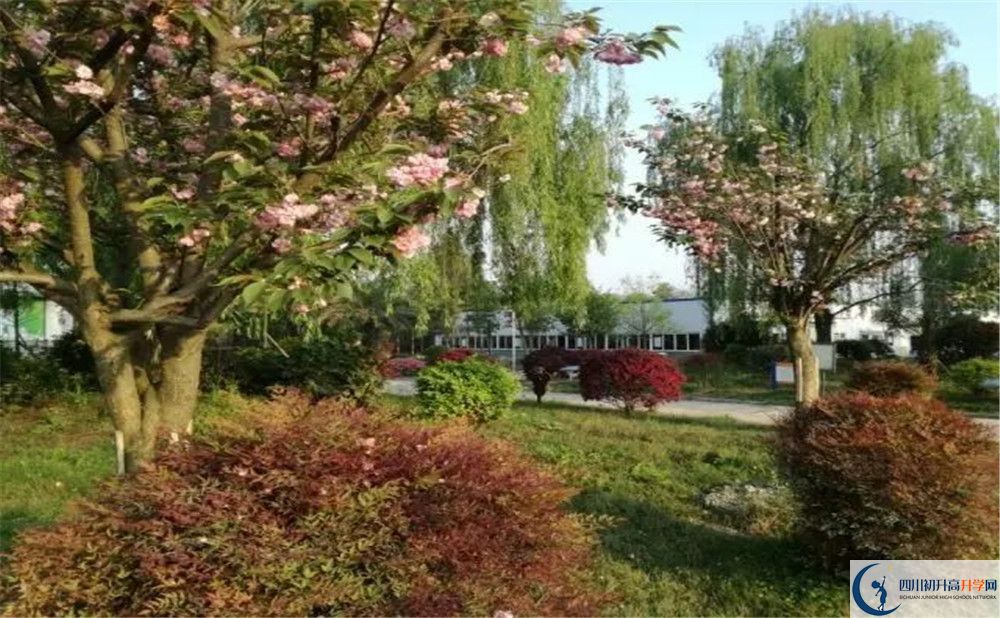 四川師范大學(xué)附屬第三實(shí)驗(yàn)中學(xué)實(shí)驗(yàn)班人數(shù)是多少？