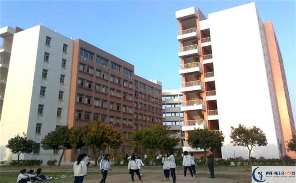 2020新津中學(xué)期末試卷數(shù)學(xué)在哪看？