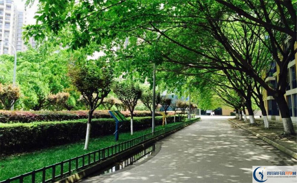 成都七中實(shí)驗(yàn)學(xué)校高2020屆高三階段檢測試題語文難嗎？