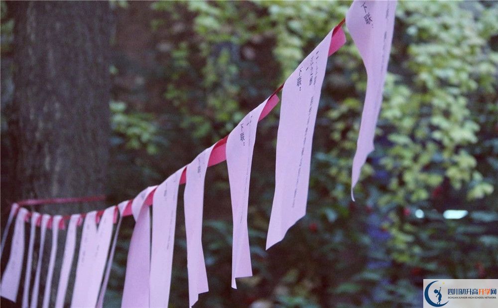 成都實(shí)驗(yàn)外國語學(xué)校（西區(qū)）平行班中考重點(diǎn)率是多少？