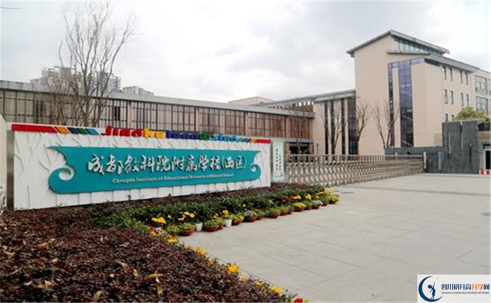 成都教科院附屬學(xué)校2020年高考人數(shù)是多少？
