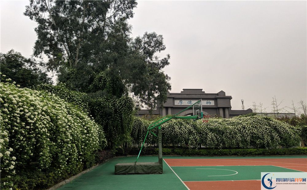 成都大學(xué)附屬中學(xué)2020年中考錄取分?jǐn)?shù)線是多少？