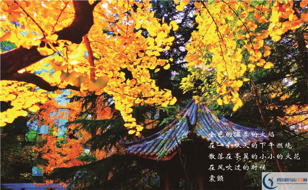 成都七中初三課程資源在哪里看？