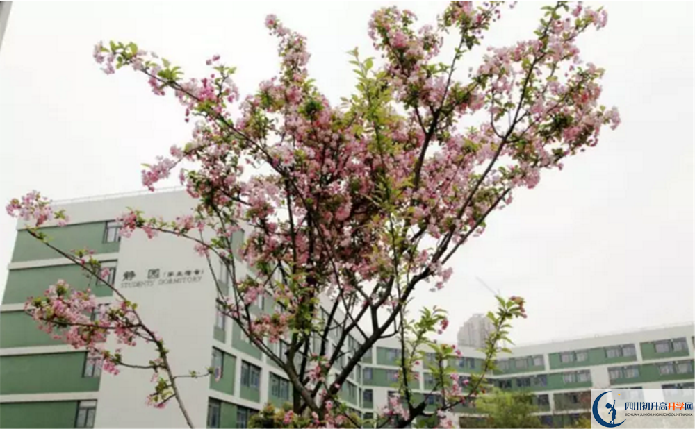 2020年四川省瀘州市實(shí)驗(yàn)中學(xué)初三畢業(yè)時(shí)間如何變化？