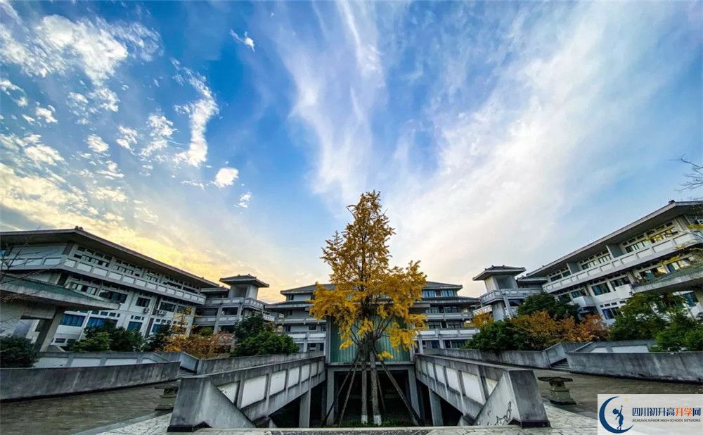 成都經(jīng)濟技術(shù)開發(fā)區(qū)實驗中學(xué)2020年學(xué)費是多少？
