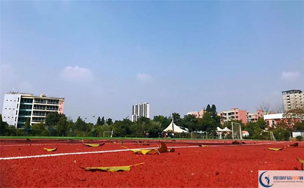青苗國(guó)際雙語(yǔ)學(xué)校成都校區(qū)2020年師資怎么樣？