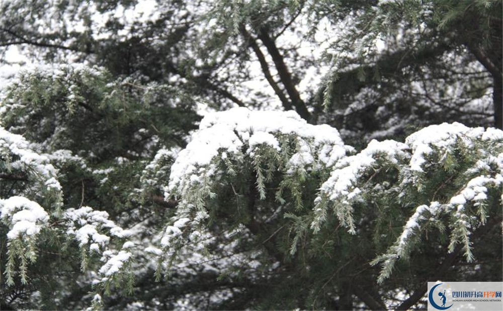 樹德博瑞實(shí)驗(yàn)學(xué)校電話號(hào)碼是多少？