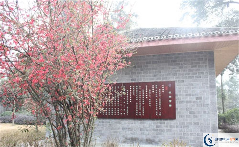 彭州中學2020年怎么樣？