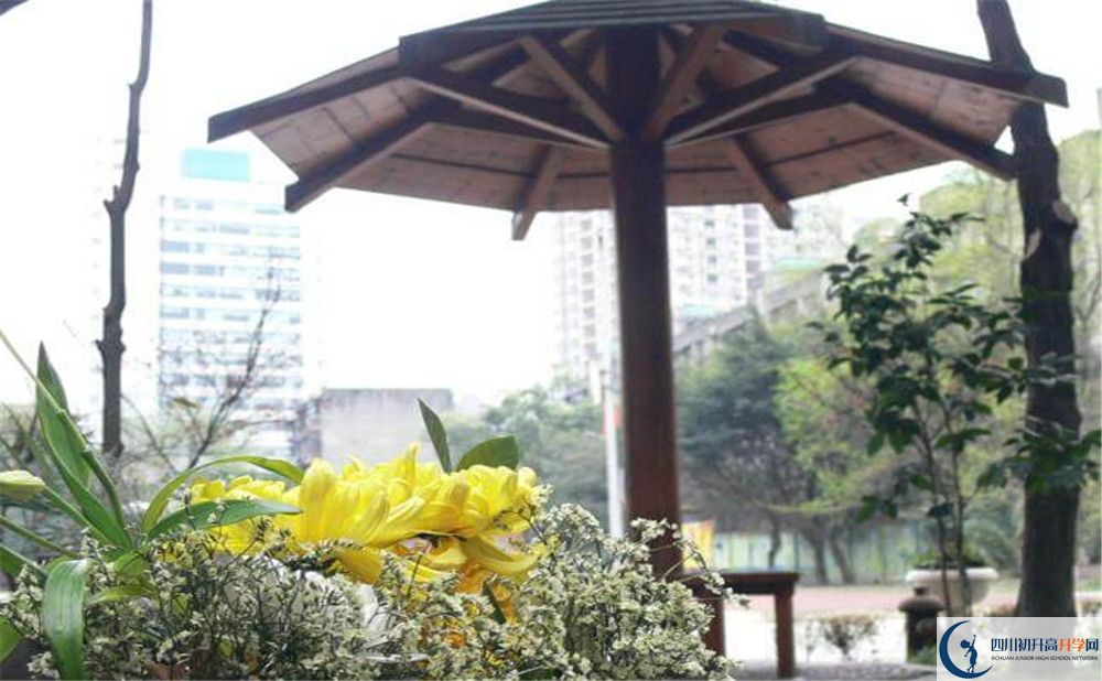 成都石室聯(lián)中蜀華分校2020年錄取分?jǐn)?shù)線是多少分？