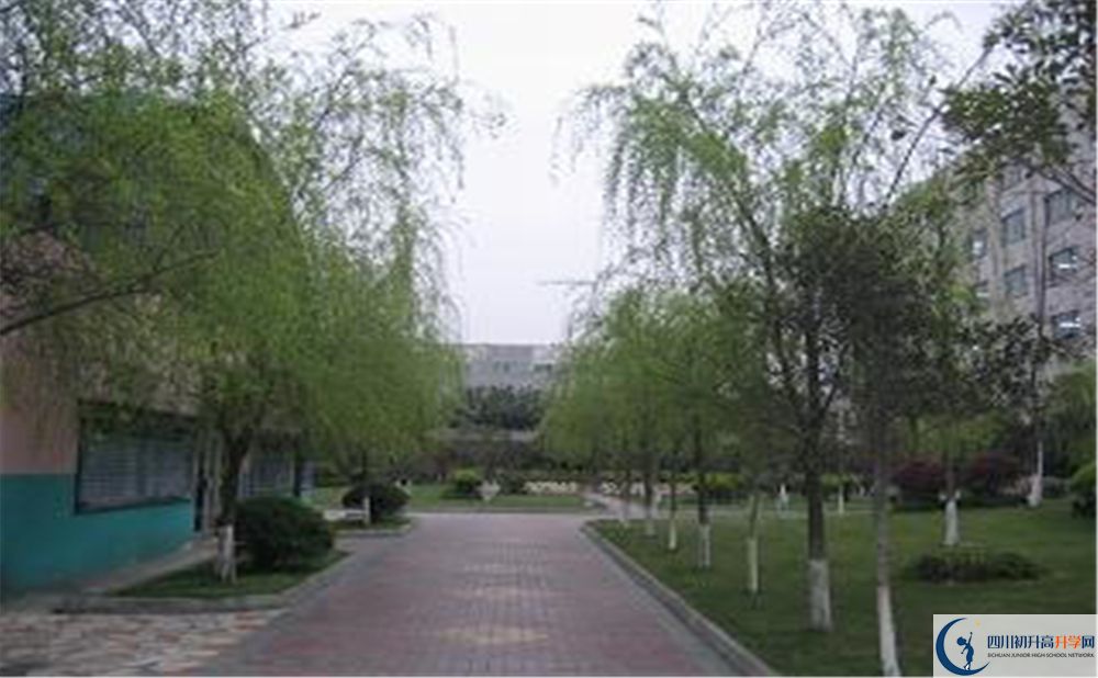 成都石室佳興外國(guó)語(yǔ)學(xué)校在哪個(gè)區(qū)？