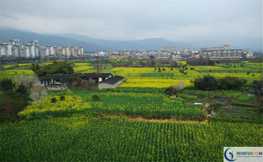 都江堰育才學(xué)校2020年錄取分?jǐn)?shù)線是多少分？