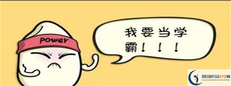 北二外成都附中2021清華北大錄取學(xué)生多少？